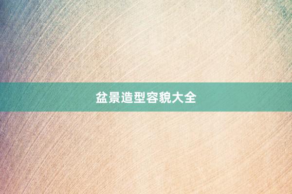 盆景造型容貌大全