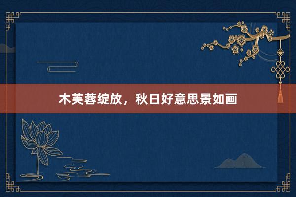木芙蓉绽放，秋日好意思景如画