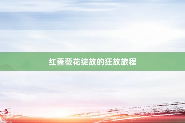 红蔷薇花绽放的狂放旅程
